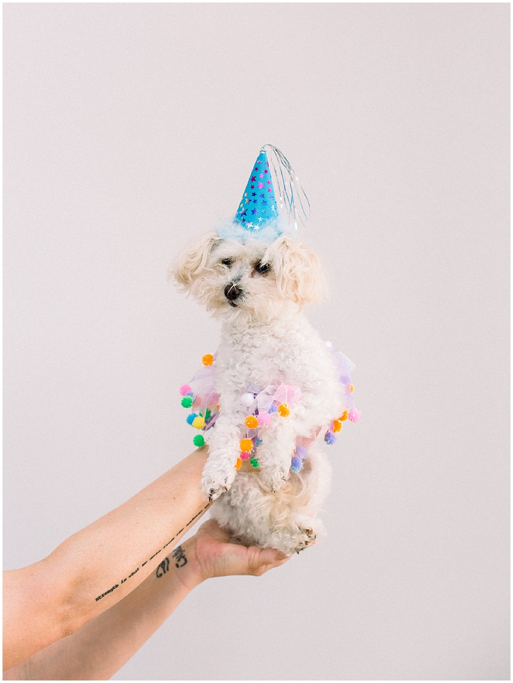 puppy celebrates birthday in a tutu + party hat