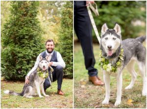 Dog featured in wedding party